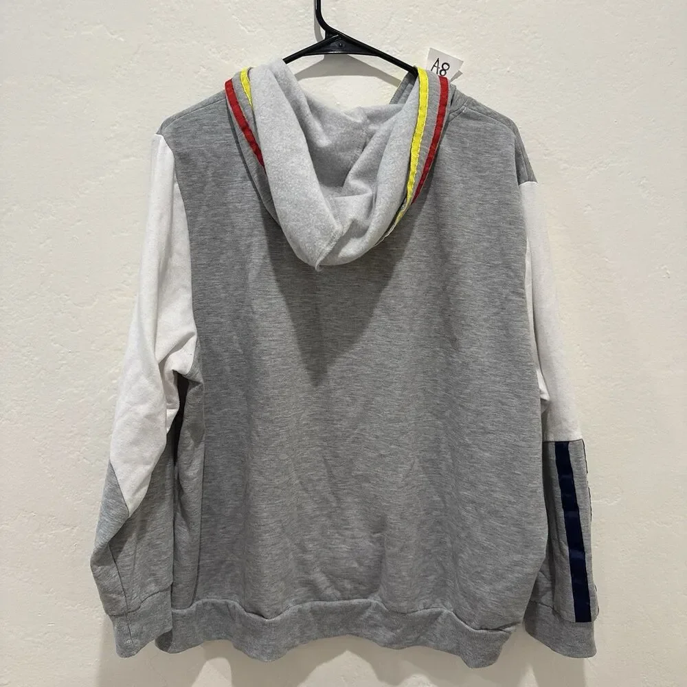 Disney Parks Womens Sweater Plus 1X Gray Disneyland Hoodie Pullover Pockets
